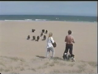 Alicante strand 1